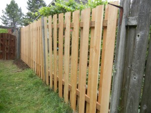 repaired fence