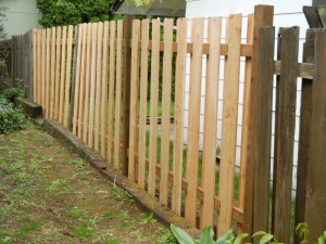 neighbor's fence